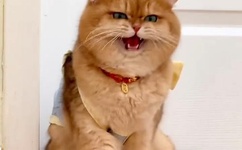 男生越往里越有劲声音